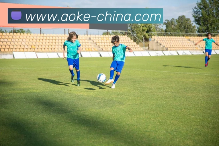 App Interface Preview